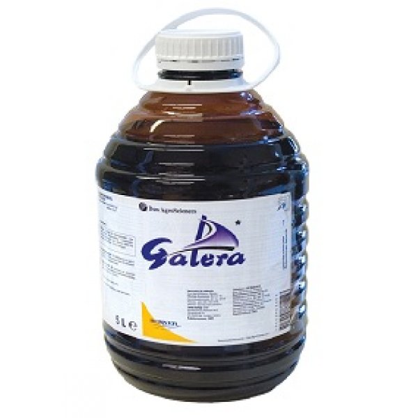 Galera Podzim